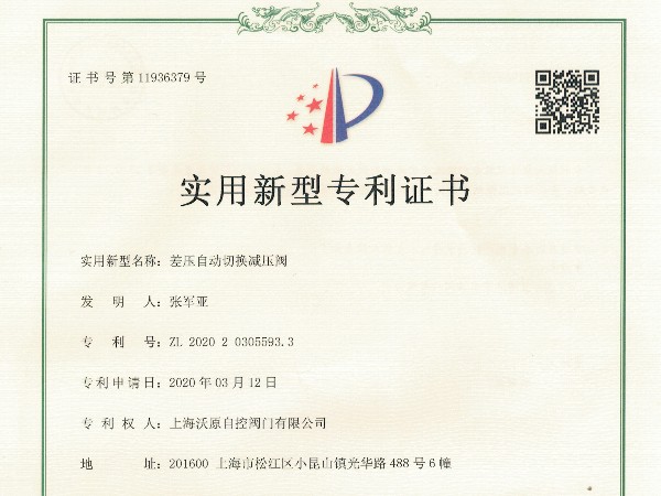 差压自动切换蜜桃视频APP色版